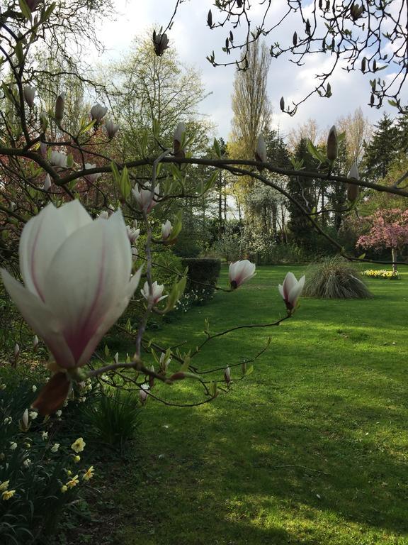 Hotel Le Domaine Des Loups Souchez Zewnętrze zdjęcie